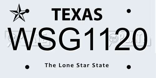 WSG1120 Texas License Plate