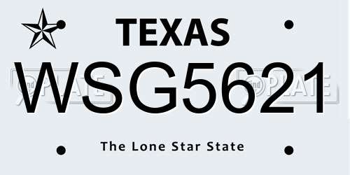 WSG5621 Texas License Plate