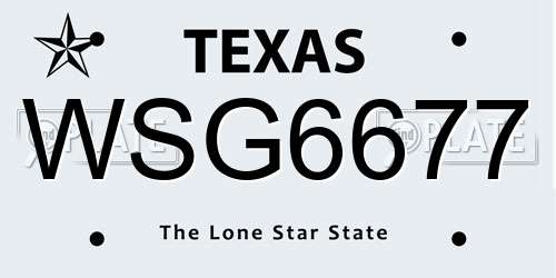 WSG6677 Texas License Plate