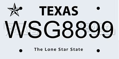 WSG8899 Texas License Plate