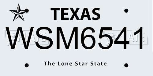 WSM6541 Texas License Plate