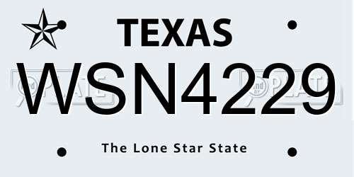 WSN4229 Texas License Plate