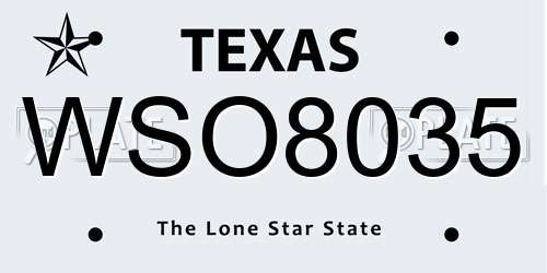 WSO8035 Texas License Plate