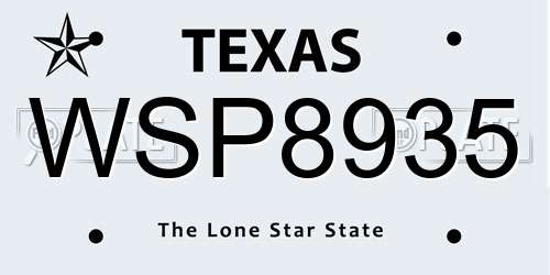 WSP8935 Texas License Plate