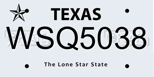 WSQ5038 Texas License Plate