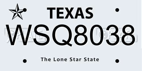 WSQ8038 Texas License Plate