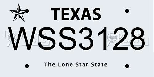 WSS3128 Texas License Plate