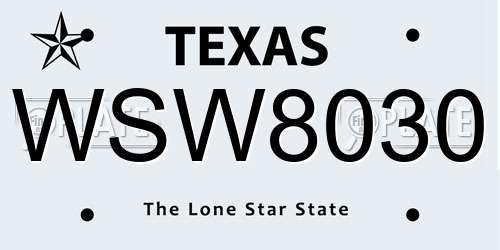 WSW8030 Texas License Plate