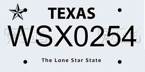 WSX0254 Texas License Plate