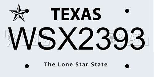 WSX2393 Texas License Plate