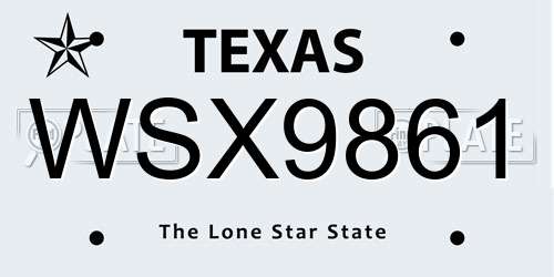 WSX9861 Texas License Plate