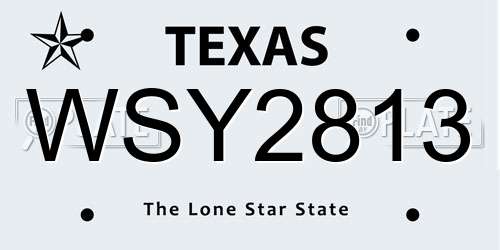 WSY2813 Texas License Plate