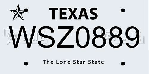 WSZ0889 Texas License Plate