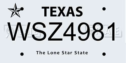 WSZ4981 Texas License Plate