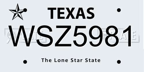 WSZ5981 Texas License Plate