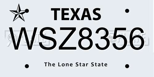 WSZ8356 Texas License Plate