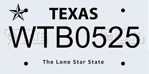 WTB0525 Texas License Plate