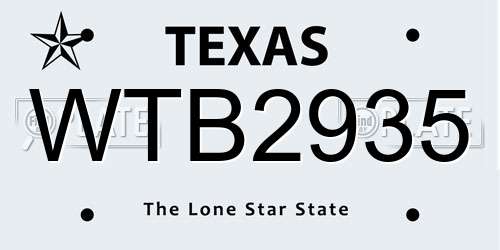 WTB2935 Texas License Plate