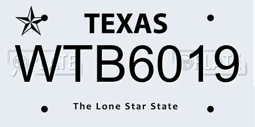 WTB6019 Texas License Plate