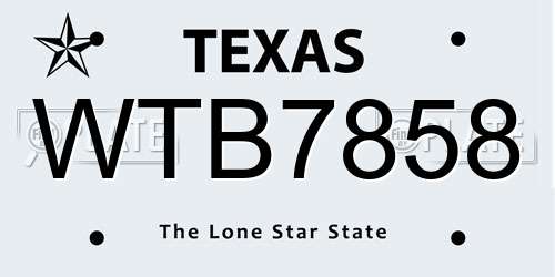 WTB7858 Texas License Plate