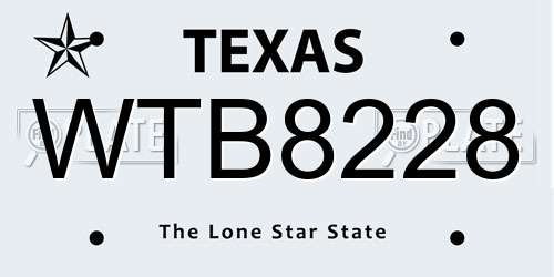 WTB8228 Texas License Plate