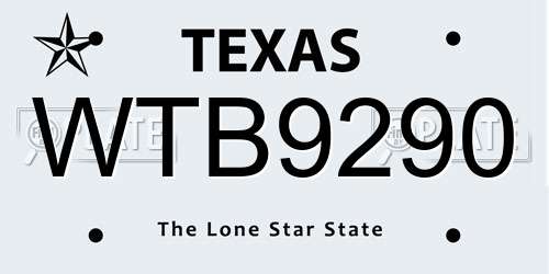 WTB9290 Texas License Plate