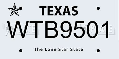 WTB9501 Texas License Plate