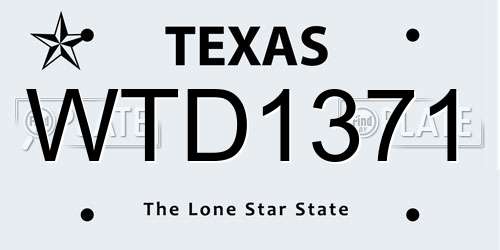 WTD1371 Texas License Plate