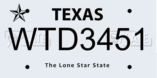 WTD3451 Texas License Plate