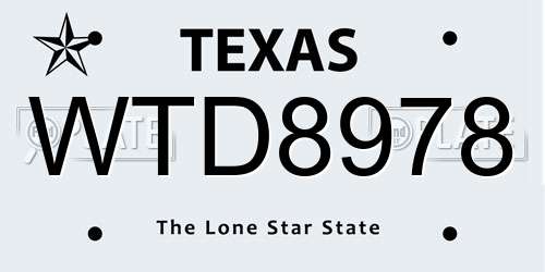 WTD8978 Texas License Plate