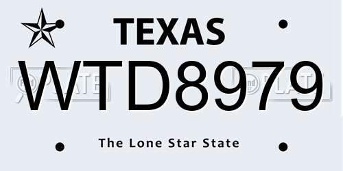 WTD8979 Texas License Plate