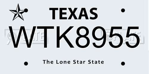 WTK8955 Texas License Plate