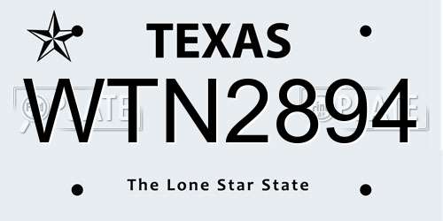 WTN2894 Texas License Plate