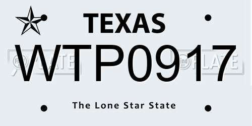 WTP0917 Texas License Plate