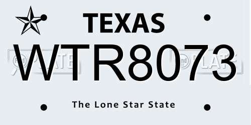WTR8073 Texas License Plate