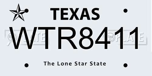 WTR8411 Texas License Plate