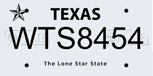 WTS8454 Texas License Plate
