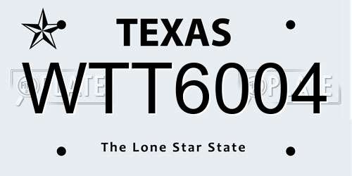 WTT6004 Texas License Plate