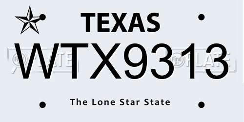 WTX9313 Texas License Plate