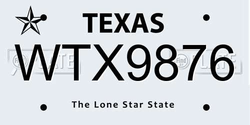 WTX9876 Texas License Plate