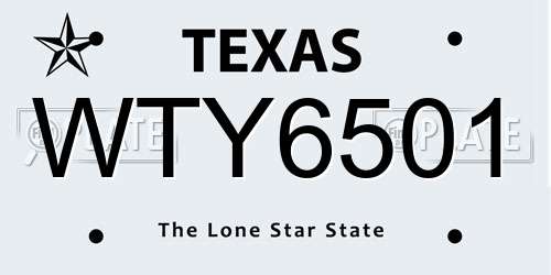 WTY6501 Texas License Plate