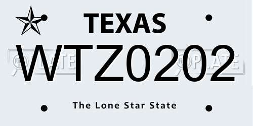 WTZ0202 Texas License Plate