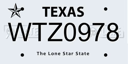 WTZ0978 Texas License Plate