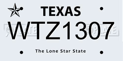 WTZ1307 Texas License Plate