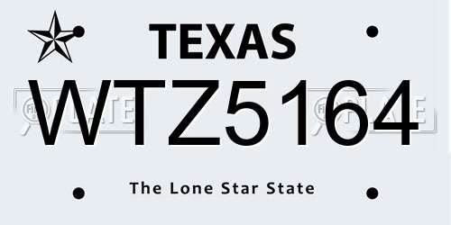 WTZ5164 Texas License Plate
