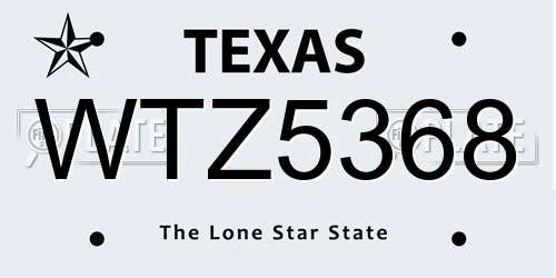 WTZ5368 Texas License Plate