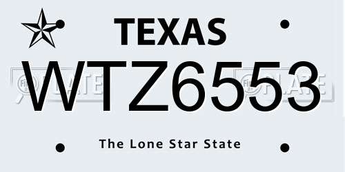 WTZ6553 Texas License Plate