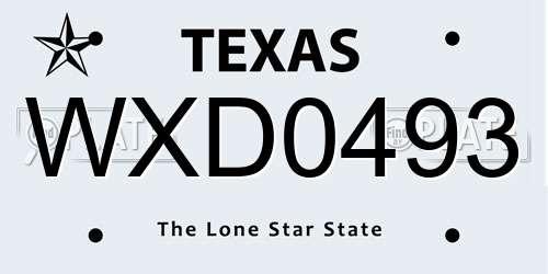 WXD0493 Texas License Plate