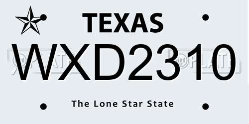 WXD2310 Texas License Plate