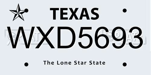 WXD5693 Texas License Plate